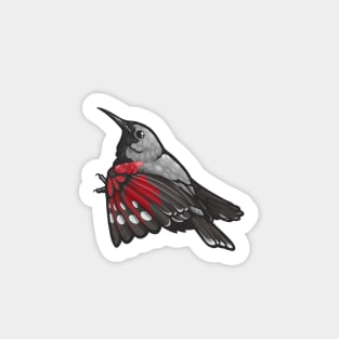 Wallcreeper Sticker